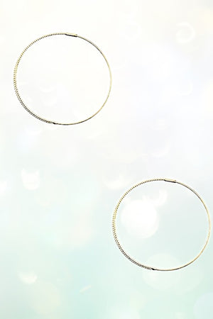 Double Wire Hoop Earring