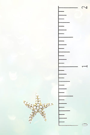 CZ STONE STARFISH POST EARRING