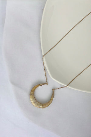 Curved Horn Pendant Long Necklace