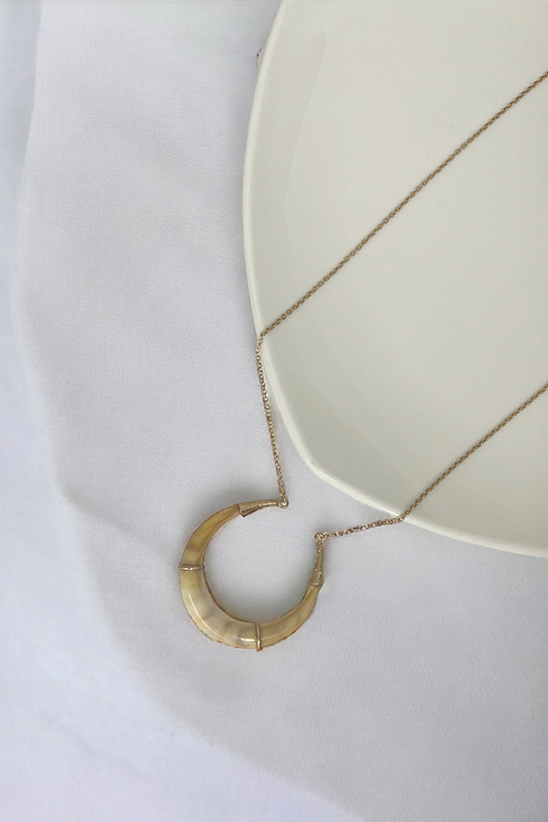 Curved Horn Pendant Long Necklace