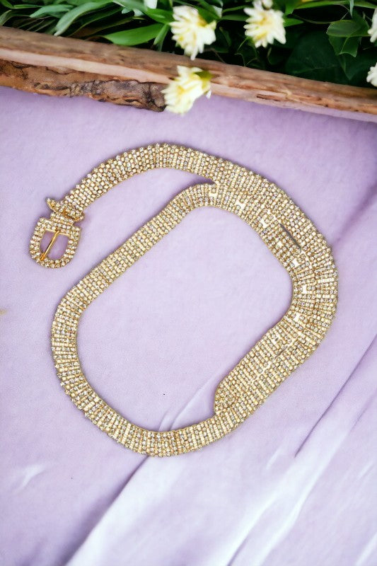 Rhinestone Pave Oval Fashion Belt