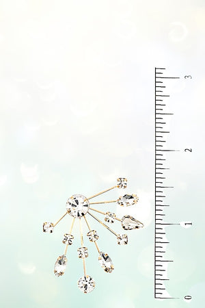 CRYSTAL FRINGE POST EARRING