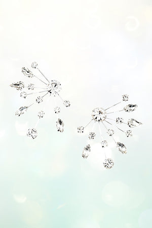 CRYSTAL FRINGE POST EARRING
