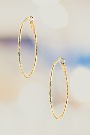 TWIST ACCENT HOOP EARRING