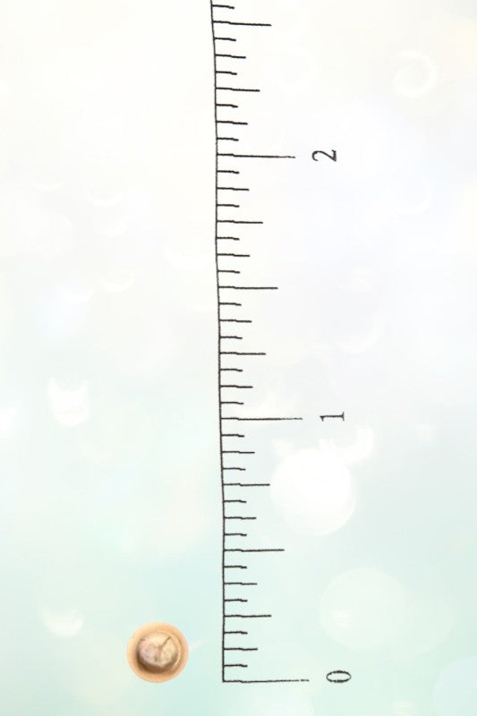 ROUND PENDANT LAYERED NECKLACE SET