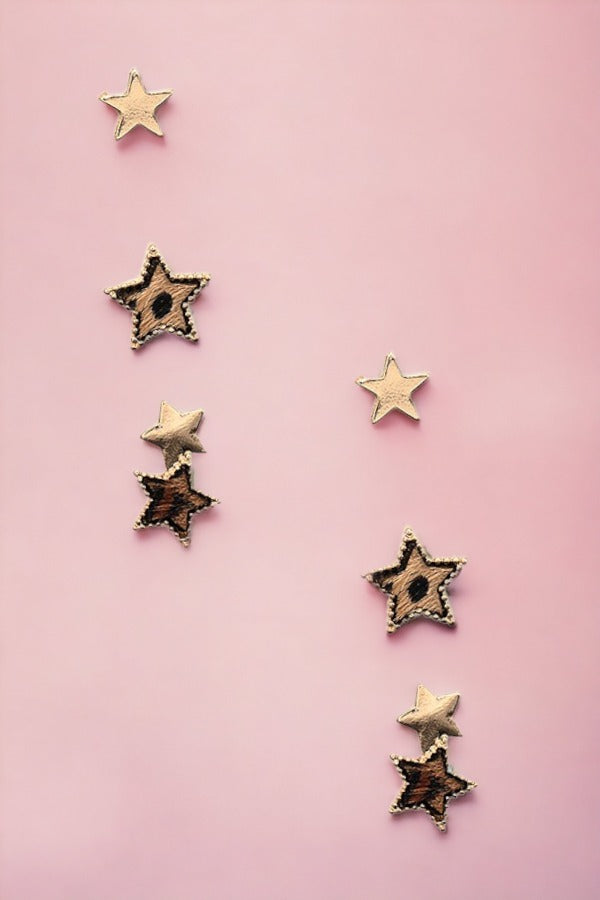 Star Mix Post Earring Set