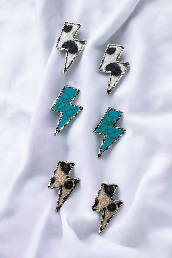 Thunderbolt Mix Post Earring Set