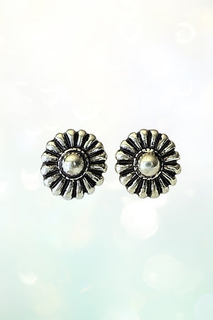 WESTERN DESIGN MULTI PAIR STUD EARRING SET